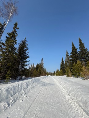 ДП Родной в Среднеуральске - sredneuralsk.yutvil.ru - фото 7