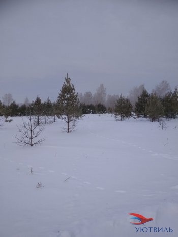 Земельный участок поселок Баженово в Среднеуральске - sredneuralsk.yutvil.ru - фото 5