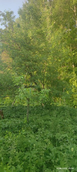 г Верхняя пышма, СНТ Мираж, уч.№ 99 в Среднеуральске - sredneuralsk.yutvil.ru - фото 10