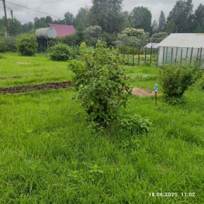 г Верхняя пышма, СНТ Мираж, уч.№ 99 в Среднеуральске - sredneuralsk.yutvil.ru - фото 11