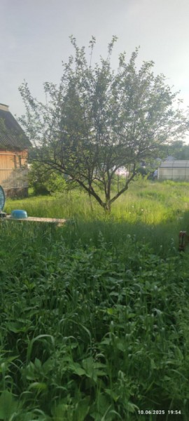 г Верхняя пышма, СНТ Мираж, уч.№ 99 в Среднеуральске - sredneuralsk.yutvil.ru - фото 19