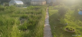 г Верхняя пышма, СНТ Мираж, уч.№ 99 в Среднеуральске - sredneuralsk.yutvil.ru - фото 3