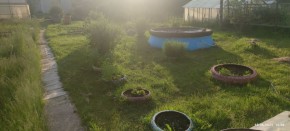 г Верхняя пышма, СНТ Мираж, уч.№ 99 в Среднеуральске - sredneuralsk.yutvil.ru - фото 5