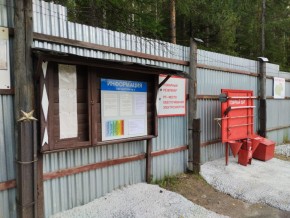 г.Верхняя Пышма СНТ №5 Березки в кв. 22 Среднеуральского Уралмашевского лесхоза в Среднеуральске - sredneuralsk.yutvil.ru - фото 18