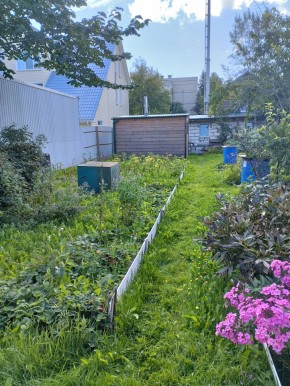 Коллективный сад номер 7, участок 58 в Среднеуральске - sredneuralsk.yutvil.ru - фото 22 Коллективный сад номер 7, участок 58 в Среднеуральске - sredneuralsk.yutvil.ru - фото 22