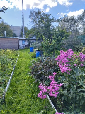 Коллективный сад номер 7, участок 58 в Среднеуральске - sredneuralsk.yutvil.ru - фото 23 Коллективный сад номер 7, участок 58 в Среднеуральске - sredneuralsk.yutvil.ru - фото 23