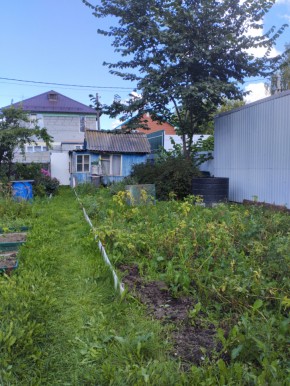 Коллективный сад номер 7, участок 58 в Среднеуральске - sredneuralsk.yutvil.ru - фото 25 Коллективный сад номер 7, участок 58 в Среднеуральске - sredneuralsk.yutvil.ru - фото 25