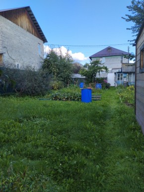 Коллективный сад номер 7, участок 58 в Среднеуральске - sredneuralsk.yutvil.ru - фото 26 Коллективный сад номер 7, участок 58 в Среднеуральске - sredneuralsk.yutvil.ru - фото 26