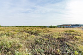 Российская Федерация, Свердловская область, Сысертский городской округ, территория садоводческого некоммерческого товарищества Бобровские дачи, улица Каштановая, земельный участок № 38 в Среднеуральске - sredneuralsk.yutvil.ru - фото 24