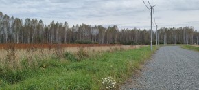 с. Новоалексеевское, КП Оникс,  в Среднеуральске - sredneuralsk.yutvil.ru - фото 2
