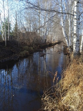 СНТ Берёзка в Среднеуральске - sredneuralsk.yutvil.ru - фото 14
