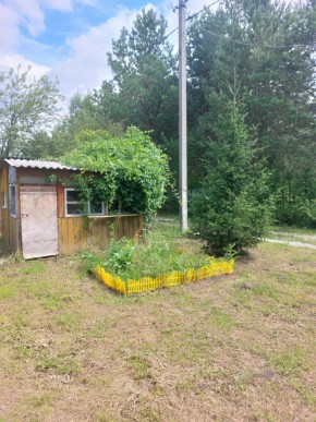 СНТ Родники в Среднеуральске - sredneuralsk.yutvil.ru - фото 2