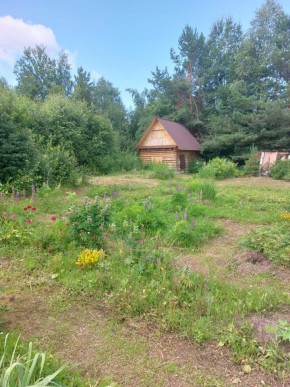 СНТ Родники в Среднеуральске - sredneuralsk.yutvil.ru - фото 3