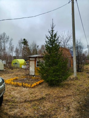 СНТ Родники в Среднеуральске - sredneuralsk.yutvil.ru - фото 5
