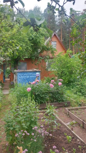 СНТ Садовод-24 в Среднеуральске - sredneuralsk.yutvil.ru
