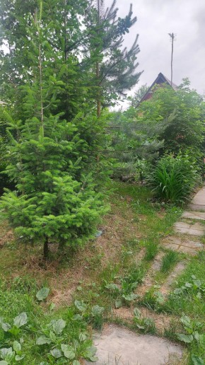 СНТ Садовод-24 в Среднеуральске - sredneuralsk.yutvil.ru - фото 15