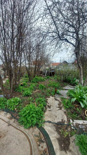 СНТ Сирень, уч. 38 в Среднеуральске - sredneuralsk.yutvil.ru - фото 7