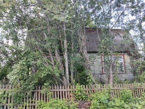 СТ Маяк участок 32 в Среднеуральске - sredneuralsk.yutvil.ru - фото 2