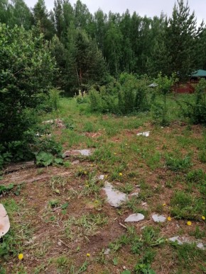 СТН Семья №112, Верхняя пышма на землях бывшего подсобного хозяйтва верхнепышминского опытного завода в Среднеуральске - sredneuralsk.yutvil.ru - фото 17 СТН Семья №112, Верхняя пышма на землях бывшего подсобного хозяйтва верхнепышминского опытного завода в Среднеуральске - sredneuralsk.yutvil.ru - фото 17