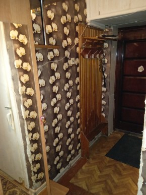 ул. Бажова,11 в Среднеуральске - sredneuralsk.yutvil.ru - фото 9