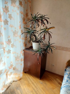 ул. Индустрии,29 в Среднеуральске - sredneuralsk.yutvil.ru - фото 3 ул. Индустрии,29 в Среднеуральске - sredneuralsk.yutvil.ru - фото 3