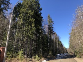 ул. Калиновая,9 в Среднеуральске - sredneuralsk.yutvil.ru - фото 4