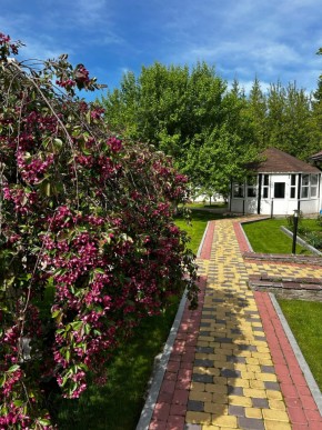 ул. Первомайская,220 в Среднеуральске - sredneuralsk.yutvil.ru - фото 2