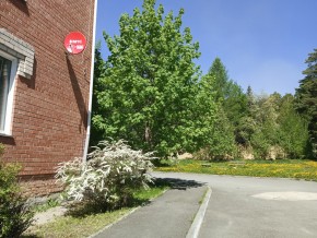 ул. Сосновая, 8 в Среднеуральске - sredneuralsk.yutvil.ru - фото 25