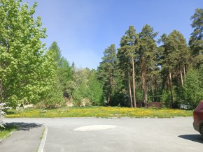 ул. Сосновая, 8 в Среднеуральске - sredneuralsk.yutvil.ru - фото 26
