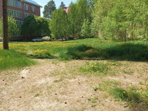 ул. Сосновая, 8 в Среднеуральске - sredneuralsk.yutvil.ru - фото 33