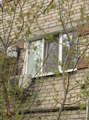 ул. Таганская,8 в Среднеуральске - sredneuralsk.yutvil.ru - фото 14