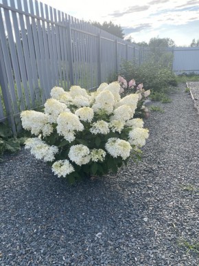 ул. Весенняя,12 в Среднеуральске - sredneuralsk.yutvil.ru - фото 20